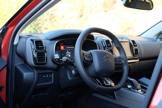 טיול יער הקדושים